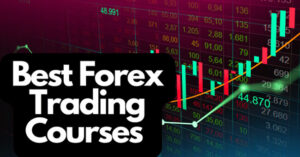 Best Forex Trading Course